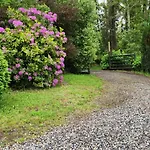 Cabana Para 5 Personas, Villarrica-Pucon Con Vista Privilegiada .