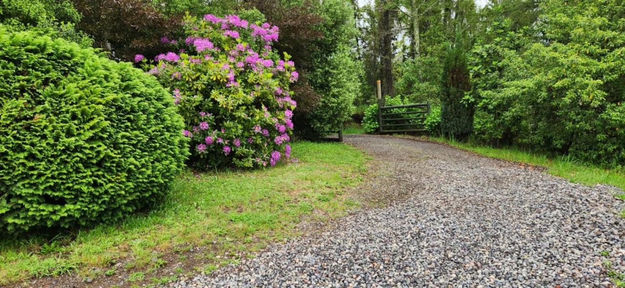 Cabana 5 Personas, Villarrica-pucon Con Vista Privilegiada . Casa de férias Villarrica